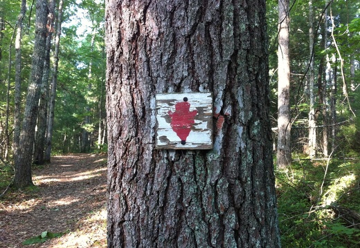 Old BISO signage, Big South Fork - 39